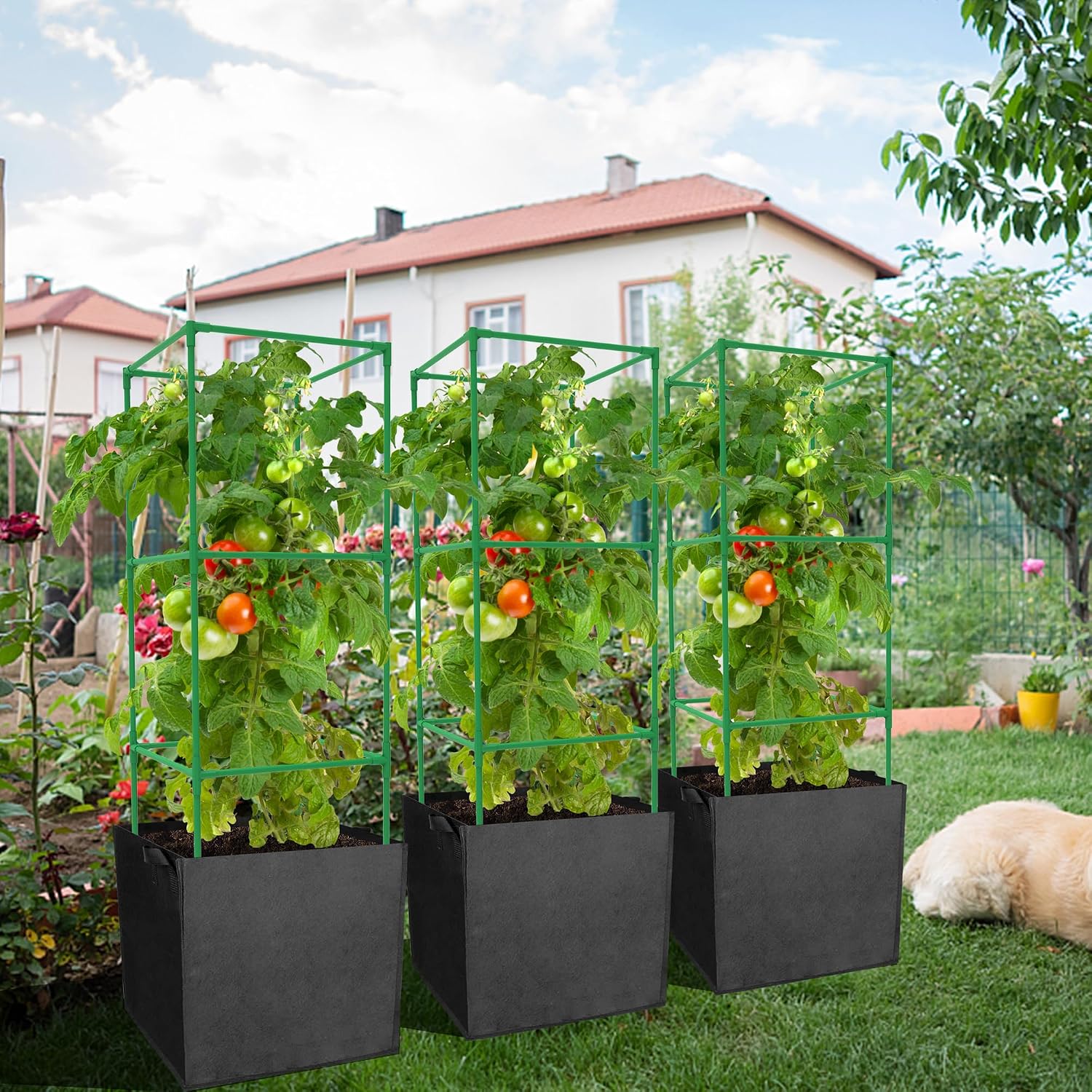 3 Packs 47 x 16 x 16 Inch Garden Tomato Cages with 17 Gallon Grow Bags- Square Plant Support Trellis Assembled with