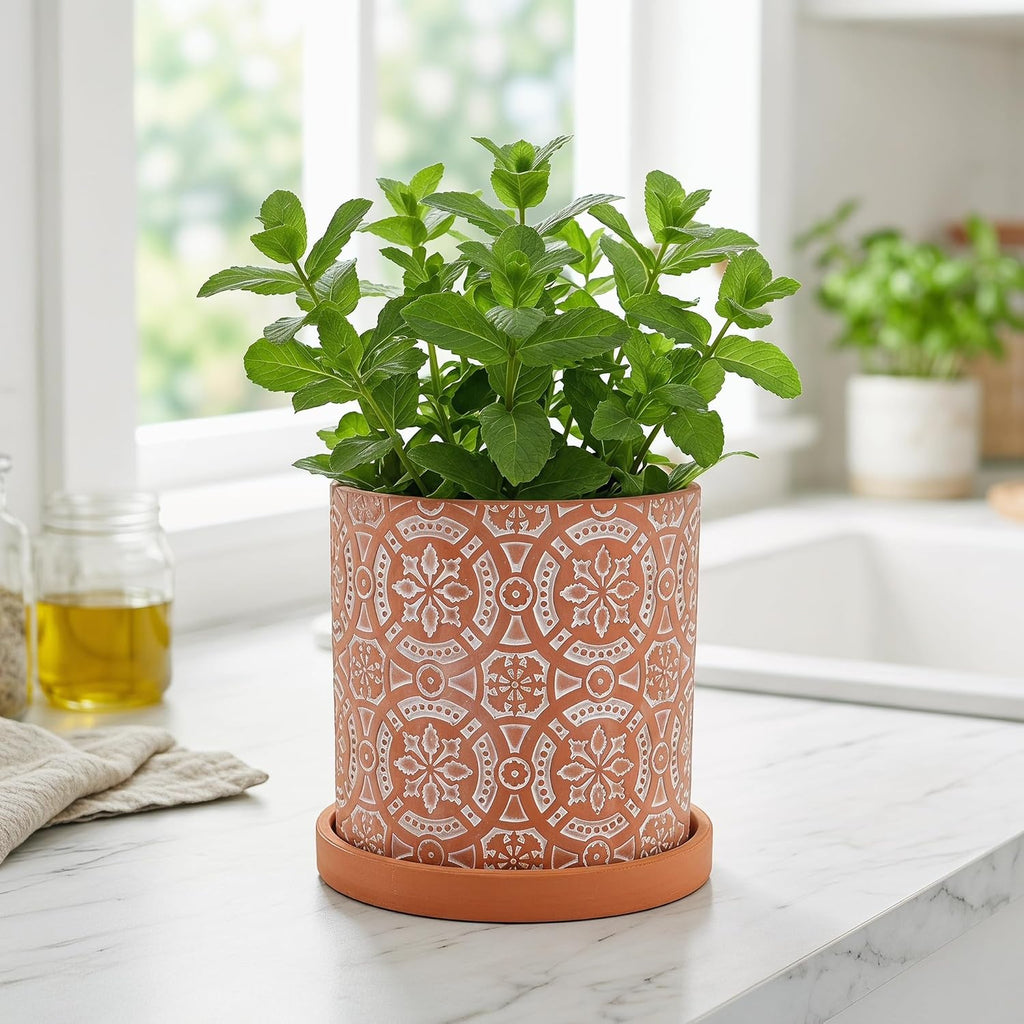 2 Pack Terracotta Plant Pot, 5'' Red Clay Planter Pot with Boho Flower Pattern, Ceramic Cactus Flower Planter Succulent