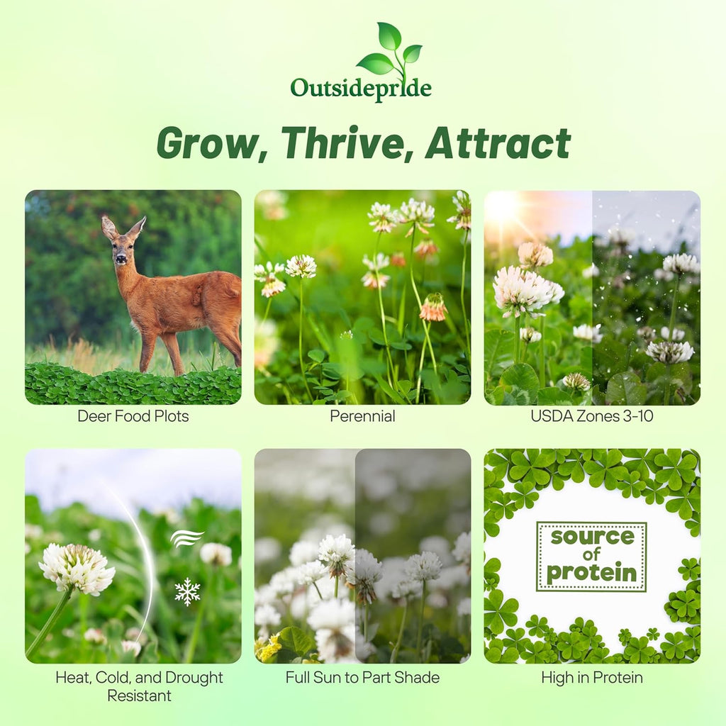 Outsidepride Perennial Clover King Seed Mix - 5 lbs Nitrocoated, Inoculated, Heat & Cold Tolerant, Alfalfa-Enhanced