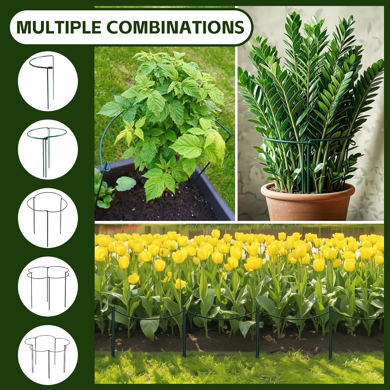 10 Pack Plant Support Stakes, 10" x 24" Peony Cages and Supports | Metal Rustproof Half Round Garden Plant Stakes for