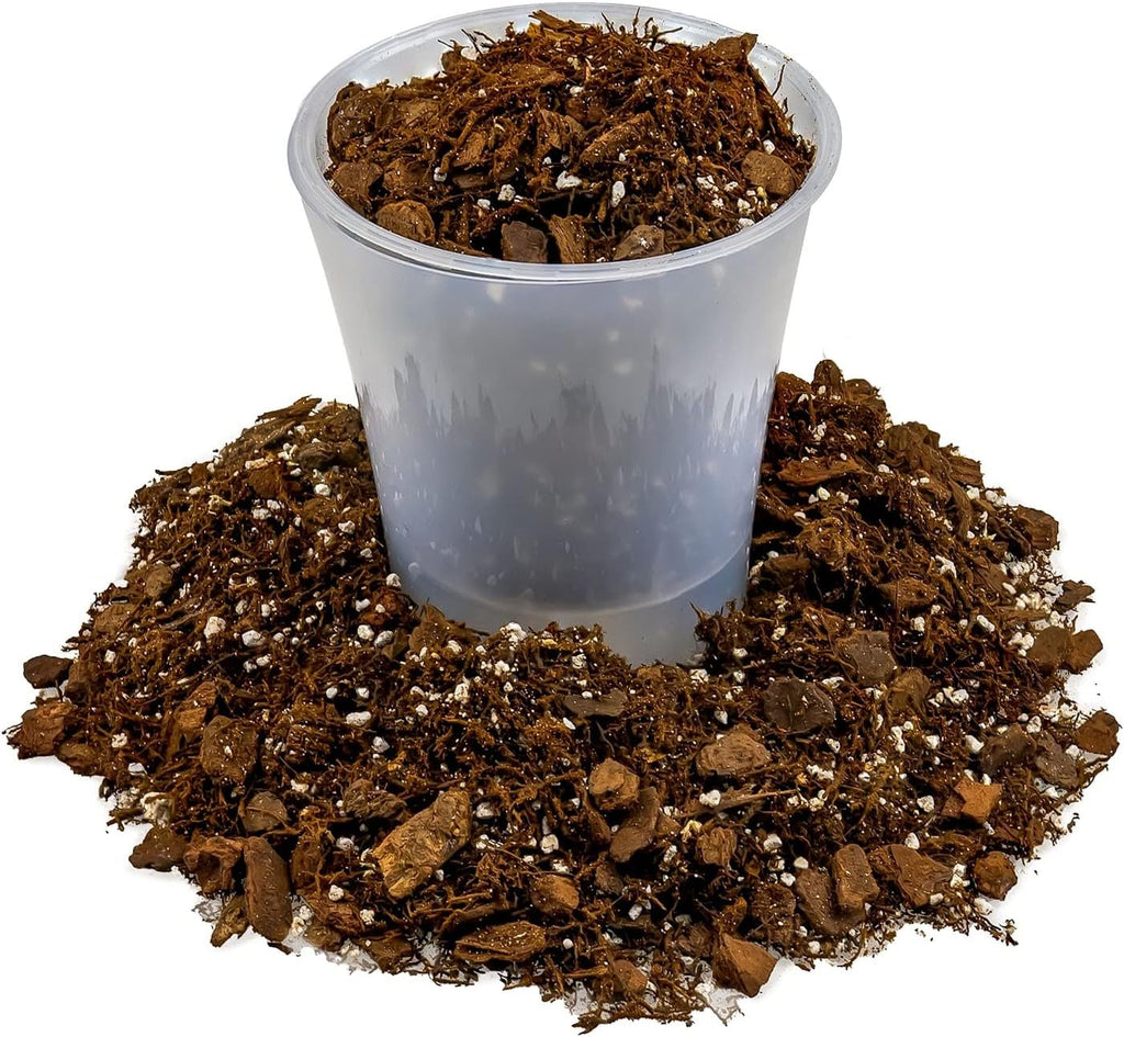 Alocasia Potting Mix - Unlock Robust Growth and Striking Leaves with Our High-Performance Formula - 20 Quart