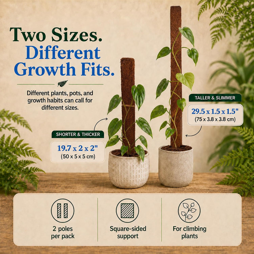 Fernwood Tree Fern Totem Pole Climbing Plant Support - 2 Pack – 19.7x2x2 | For Orchids, Aroids, and Other Climbing