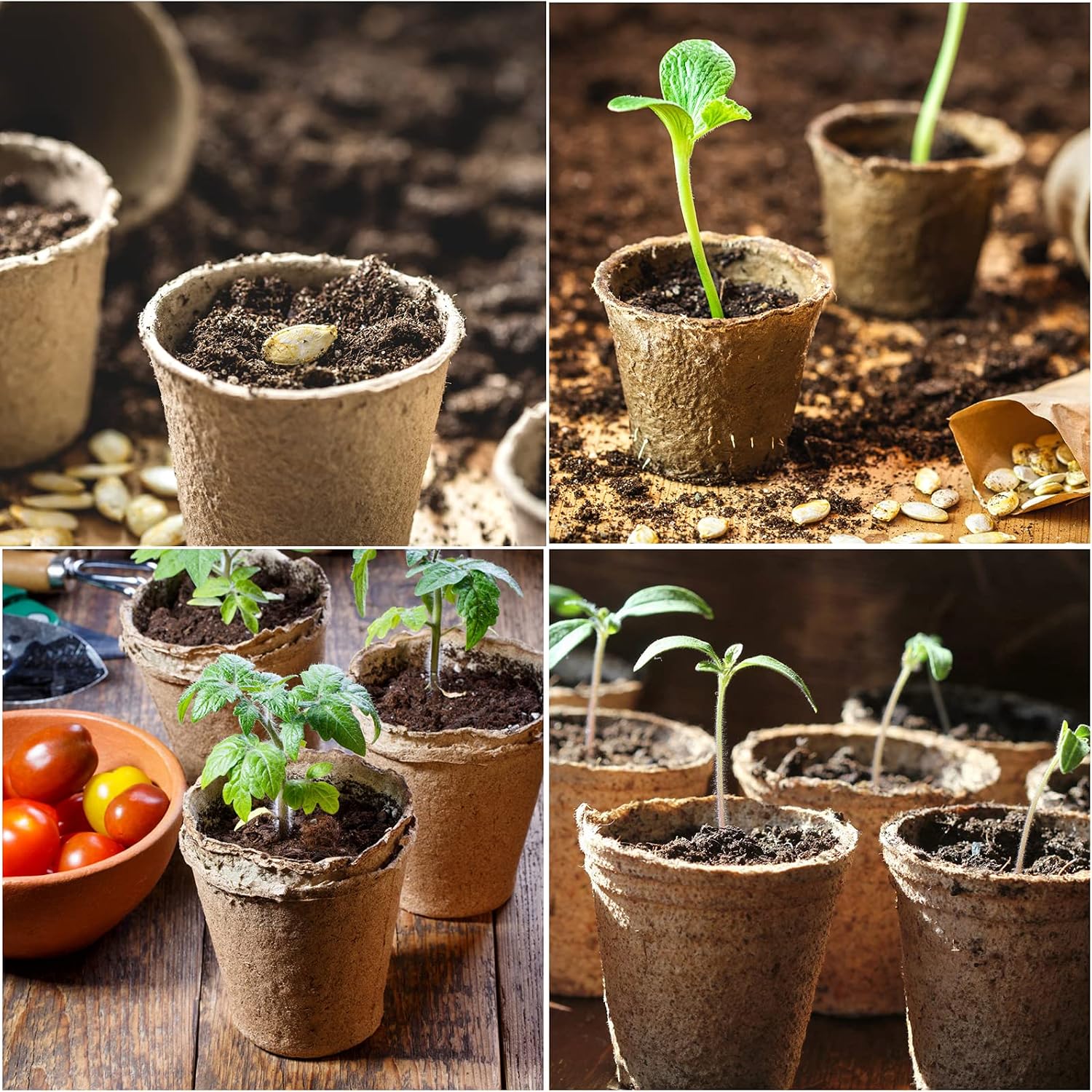 200-Pack 3.15 Inch Peat Pots for Seedling with 200 Pcs Plant Labels,Outdoor Garden Germination Nursery