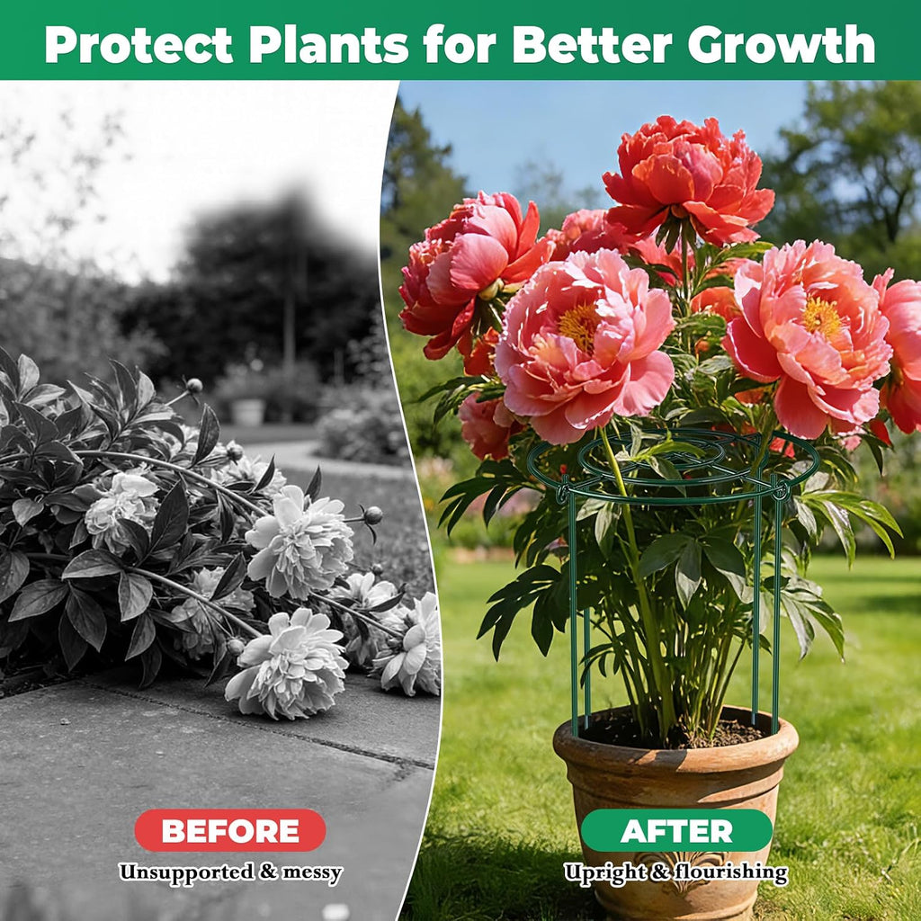 QwayHome 6Pack Peony Cages and Supports 33''H x 13''D Grow Through Large Plant Support, Adjustable High, Heavy Duty
