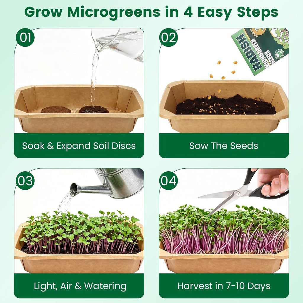 Microgreens Growing Kit Indoor Garden - Complete Micro Greens Growing Kits with 5 Seed Packs - Grow Broccoli, Arugula
