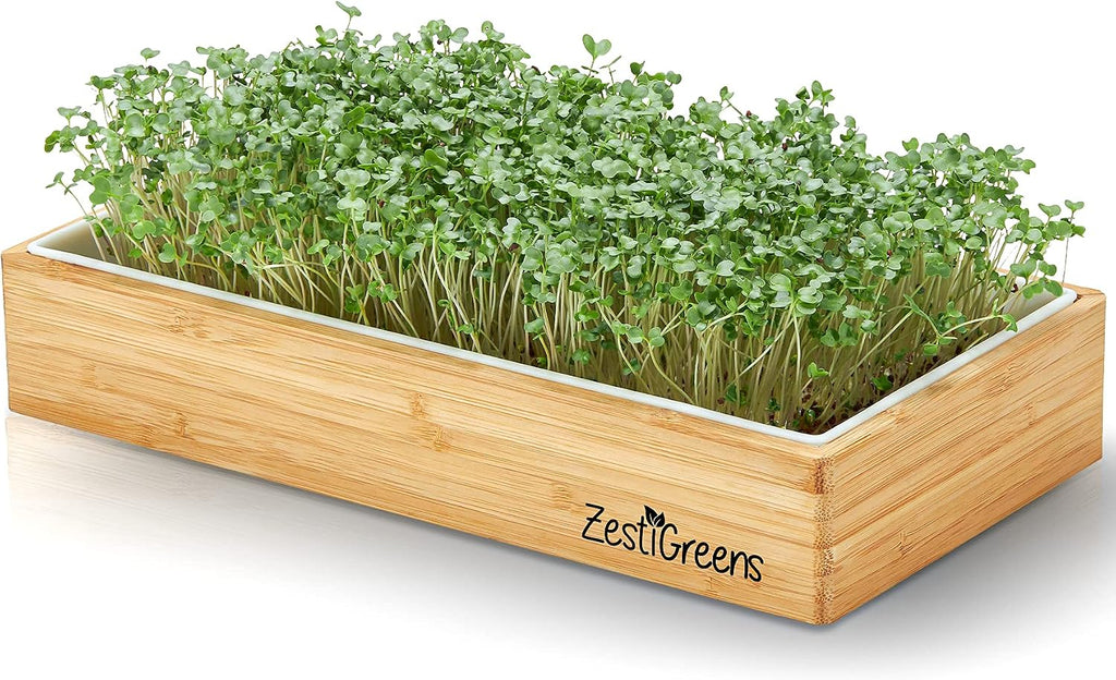 Microgreens Kit Refills - 9 Mats and 9 Different USA Seed Packs | Refill set with 9 plant mats and 9 seed packs for the