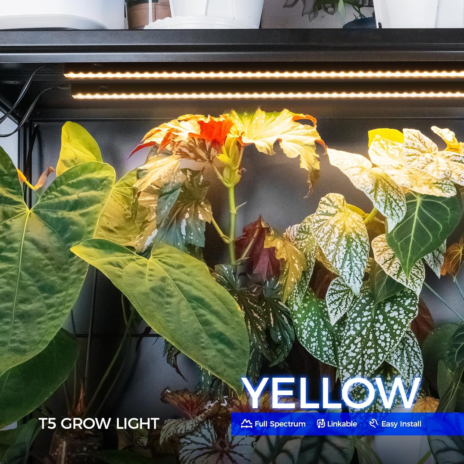Barrina T5 Grow Lights for Growth, 3FT 16W Yellow, LED Grow Lamp, 8 Packs | Black Cover Plant Growing Lamps, 128W (8 X