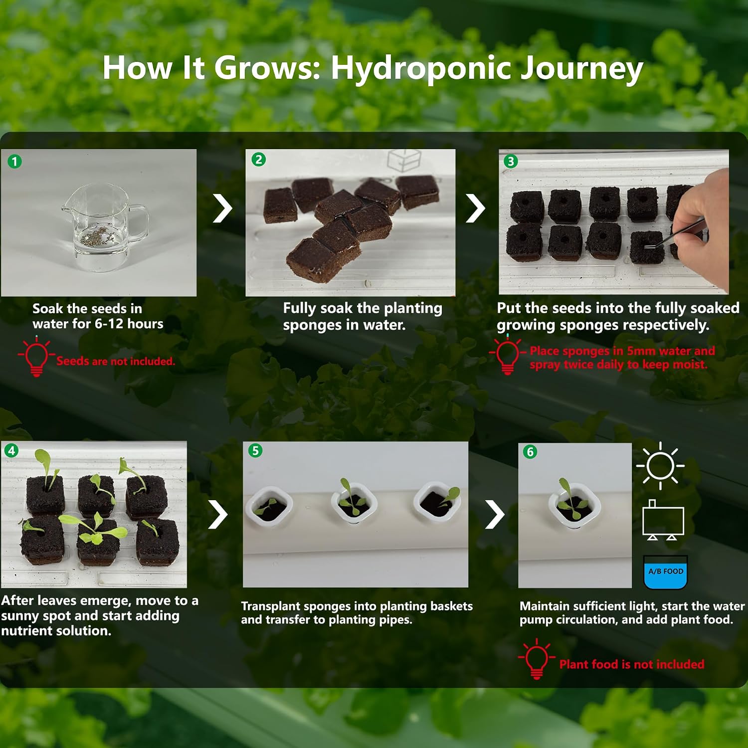 80Pcs Hydroponic Grow Sponges and 40Pcs Grow Baskets for Hydroponics Growing System，Ideal for NFT Systems，Seedling