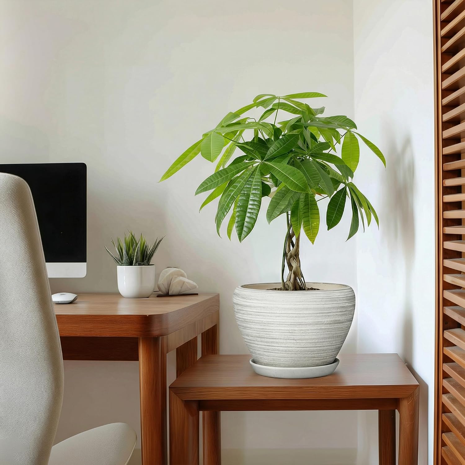 Indoor Plant Pots 8 Inch - Ceramic Plant Pots with Drainage Hole and Saucer, Large Flower Pot for Indoor Plants