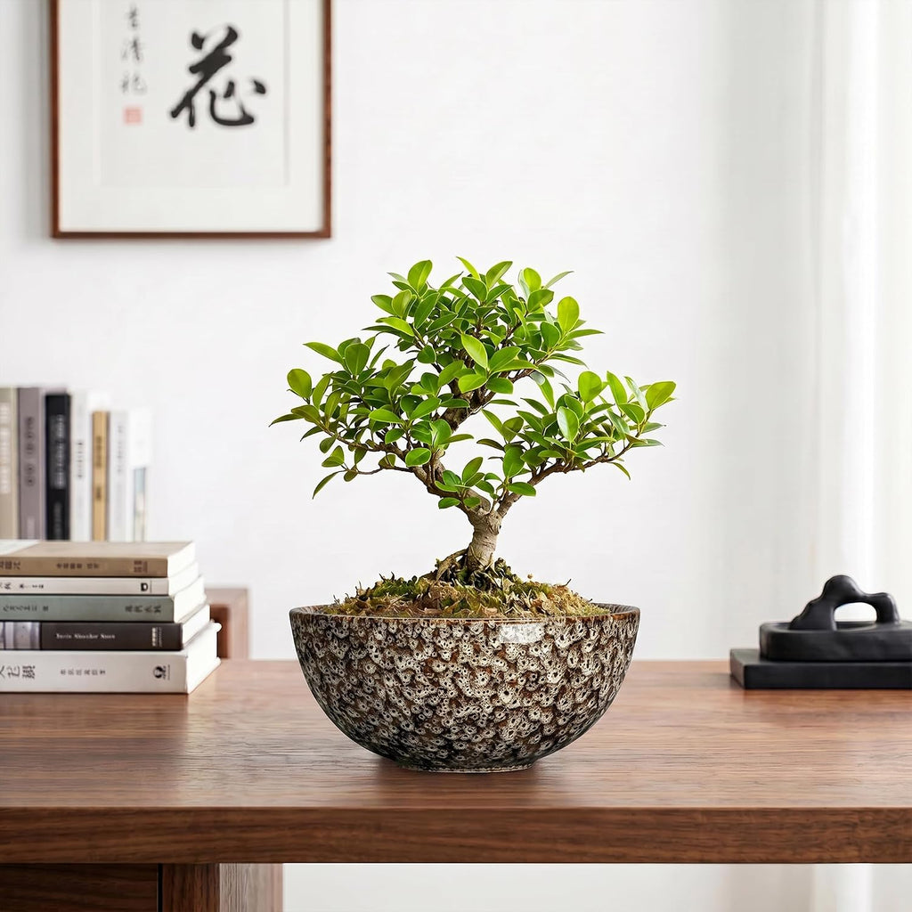 Bowl Planter, 8 Inch Ceramic Succulent Pots, White Leopard | Round Bonsai Pots for Indoor Plants Outdoor, Flower Bowl