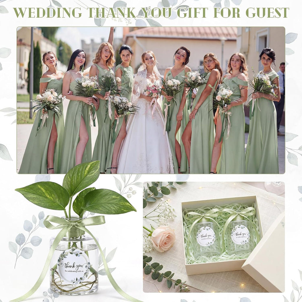 30 Set 4.33'' Wedding Party Favors Plastic Plant Propagation Stations for Guest Bulk 4oz Plant Propagation Jars Planter