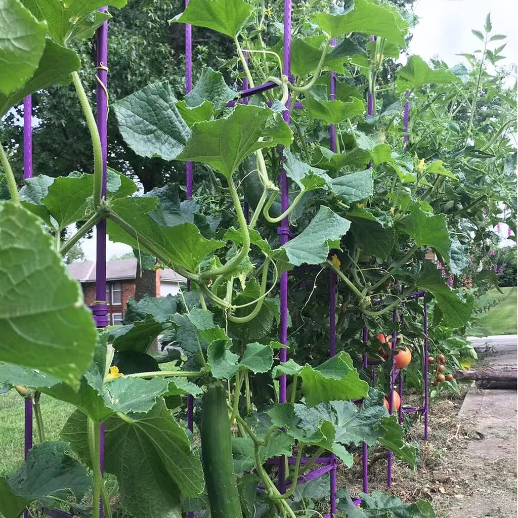 Tomato Cage 5ft 6-Pack Large Tall Tomato Cages Tomato Stakes Plants Supports Garden Stakes,40 Clips and Plant Ties