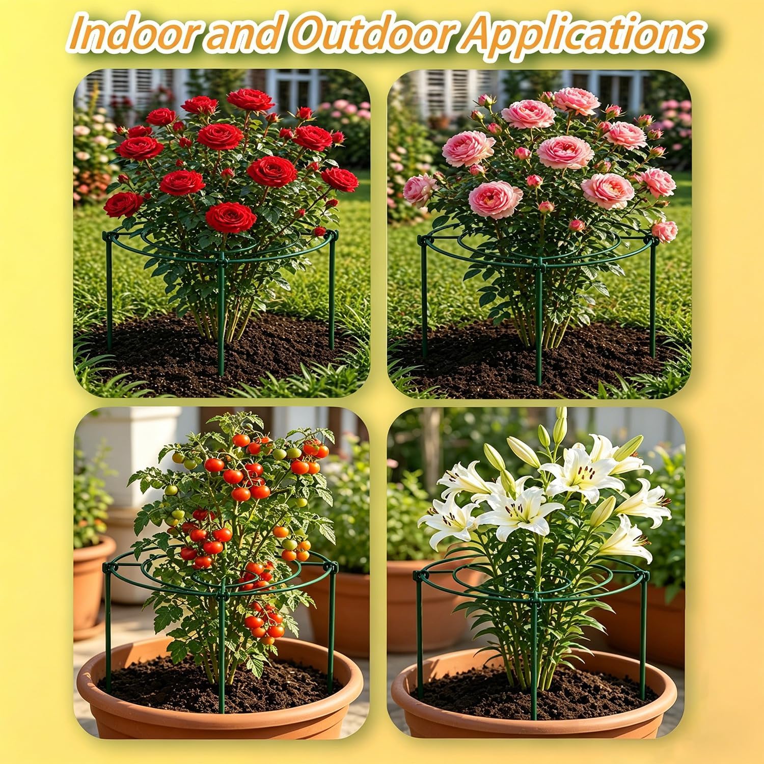 (3 Sets) Peony Cages and Supports, 16" Diameter, 4 x 24 Inches Legs, Heavy Duty Rust-Proof Grow Through Plant Support
