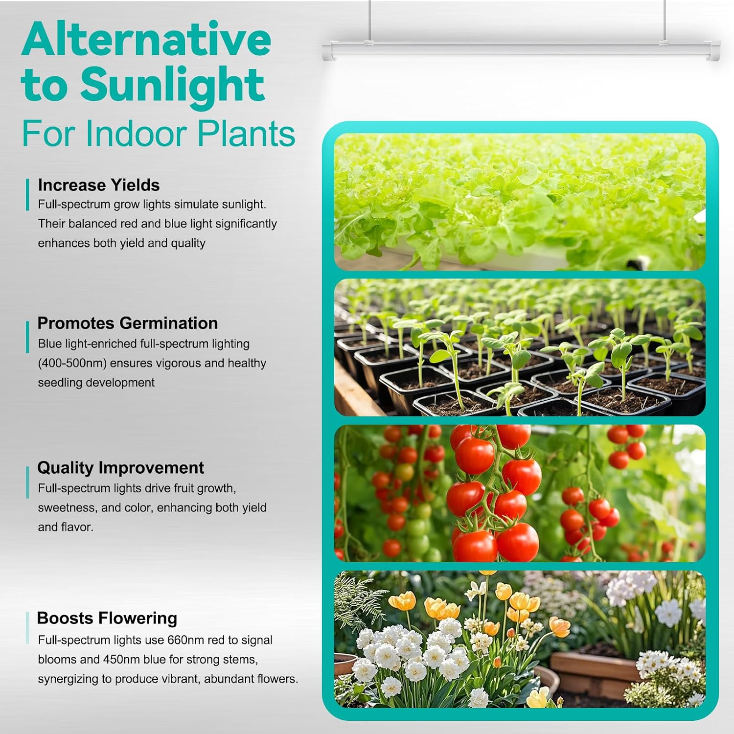 JESLED 4FT Grow Lights, 5000K Full Spectrum Sunlight White, V-Shaped Beam | 96W(2 X 48W), 600W Equiv, On/Off Switch, T8