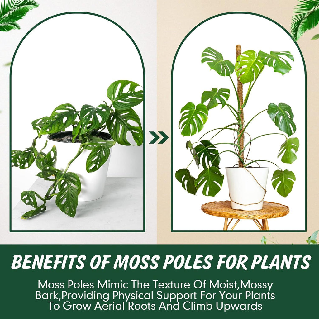 30 Pcs Moss Pole for Plants Monstera 16.5 Inch Coir Poles Bendable Monstera Plant Support with 10 Pcs 6.56 Feet Jute