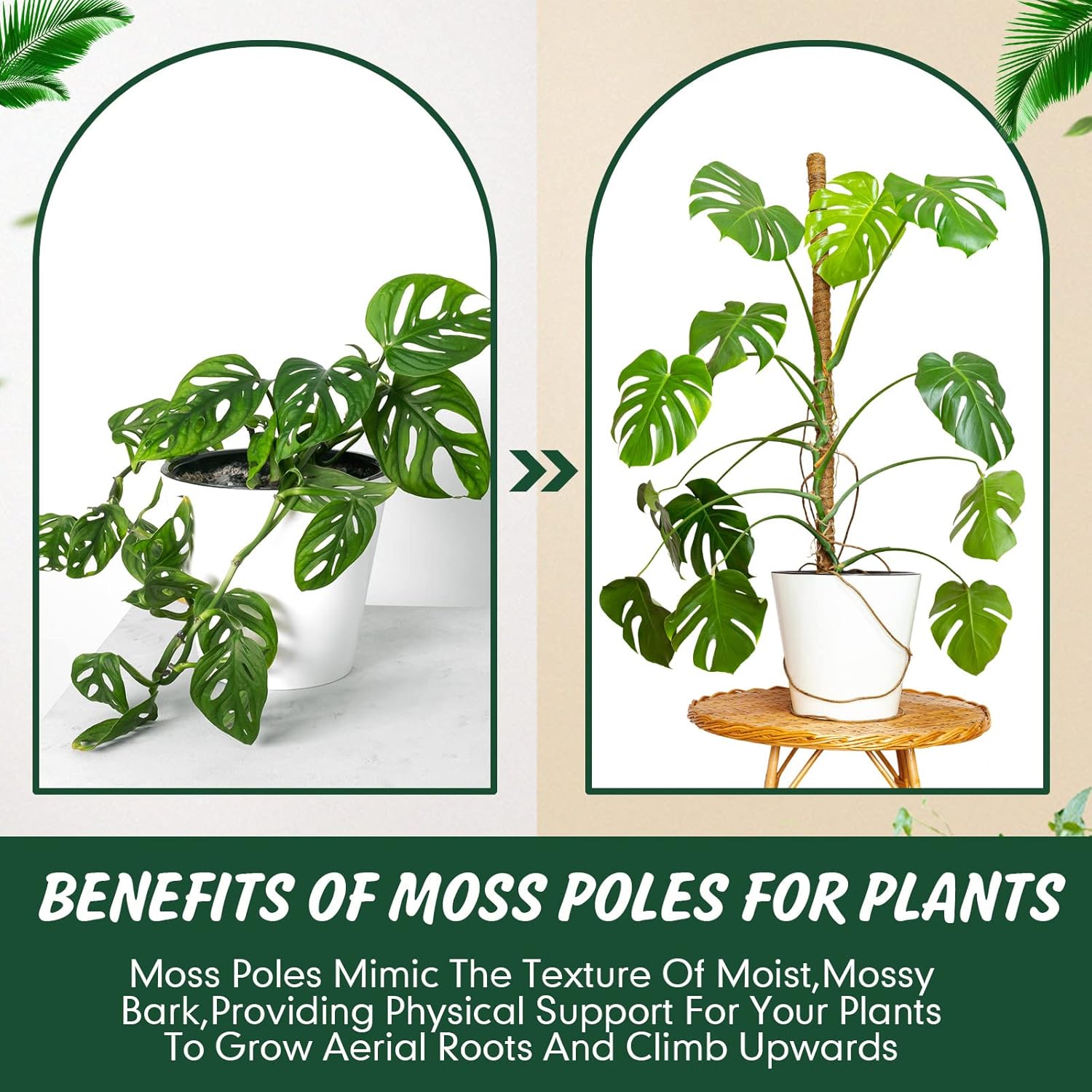 30 Pcs Moss Pole for Plants Monstera 16.5 Inch Coir Poles Bendable Monstera Plant Support with 10 Pcs 6.56 Feet Jute