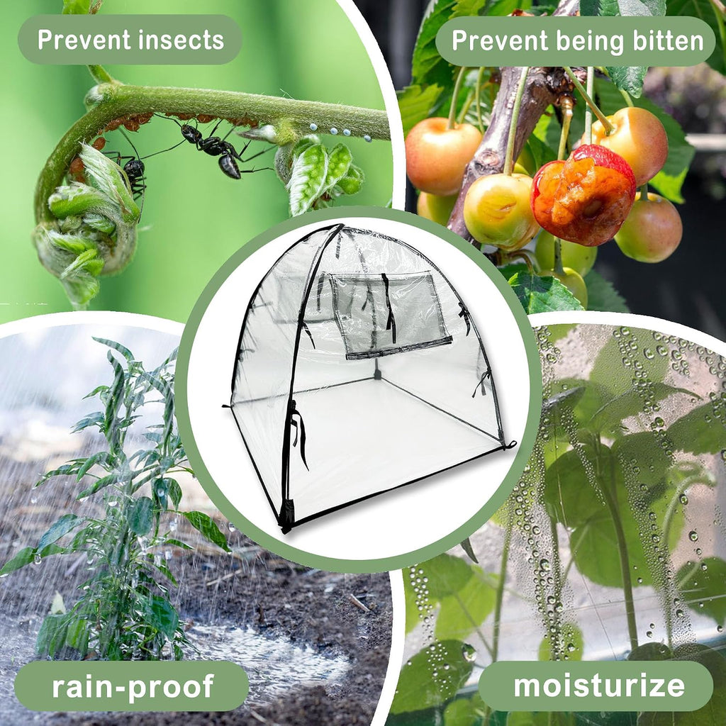 Plant Tent Cover Freeze Protection for Winter Plants Clear 36" x 36" x 38" | Garden Plants Frost Cover, Transparent