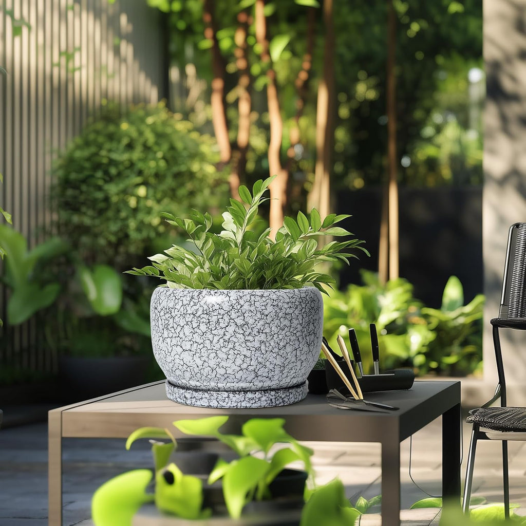SQOWL Ceramic Planters - 10 Inch Ceramic Flower Pot with Drainage Hole and Saucer, Decorative Plant Pot Indoor, Round