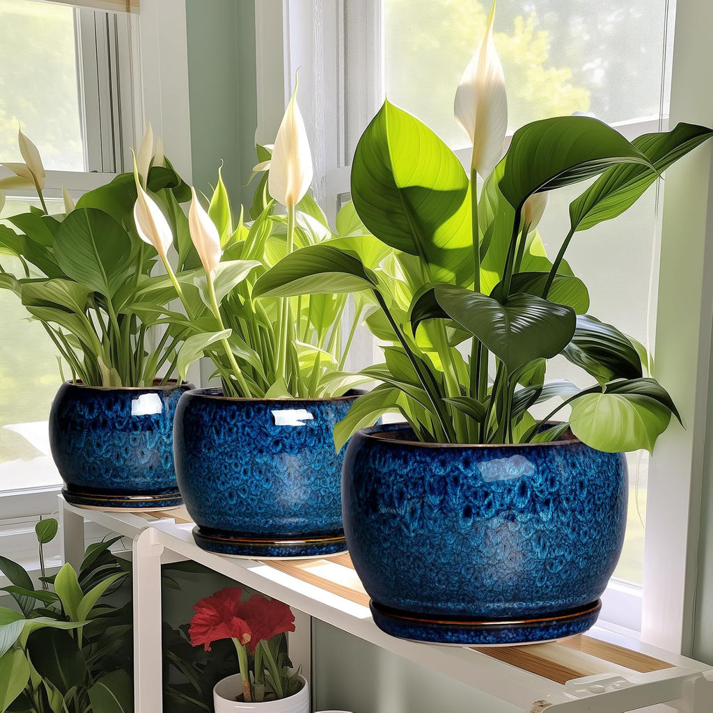 SQOWL Ceramic Planter 8 Inch - Pot for Indoor Outdoor Plants Round Ceramic Plant Pot with Drainage Hole and Saucer
