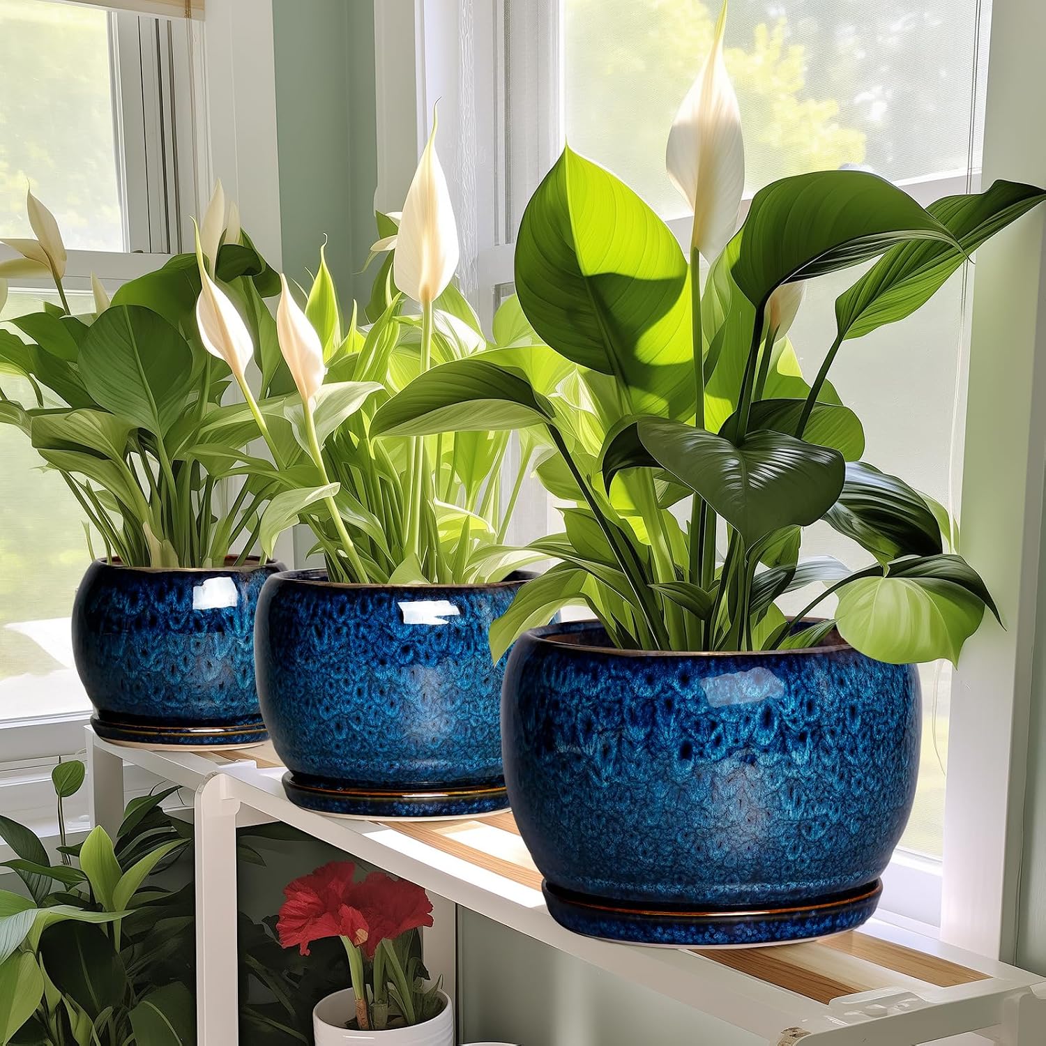 SQOWL Ceramic Planter 8 Inch - Pot for Indoor Outdoor Plants Round Ceramic Plant Pot with Drainage Hole and Saucer