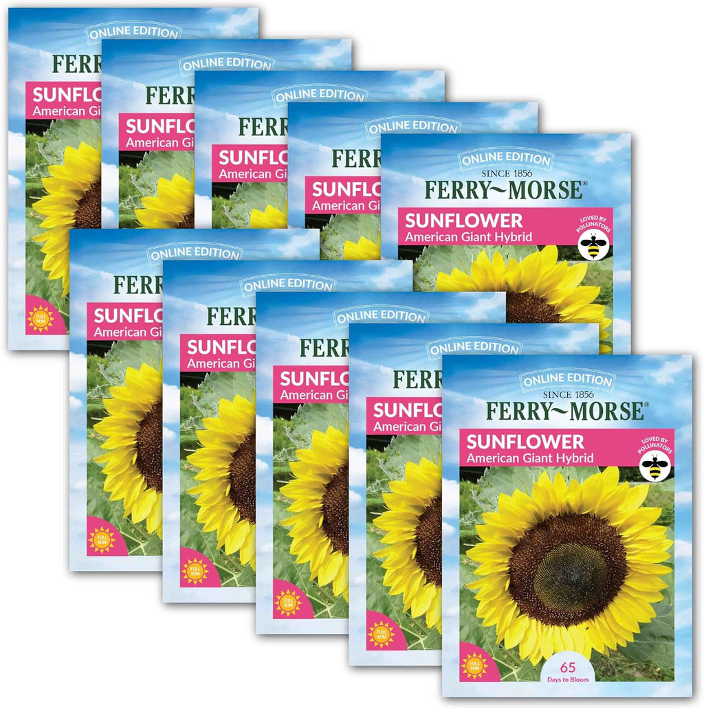 Ferry-Morse Online Edition Sunflower American Giant Hybrid Seed Multipack - 10 Pack