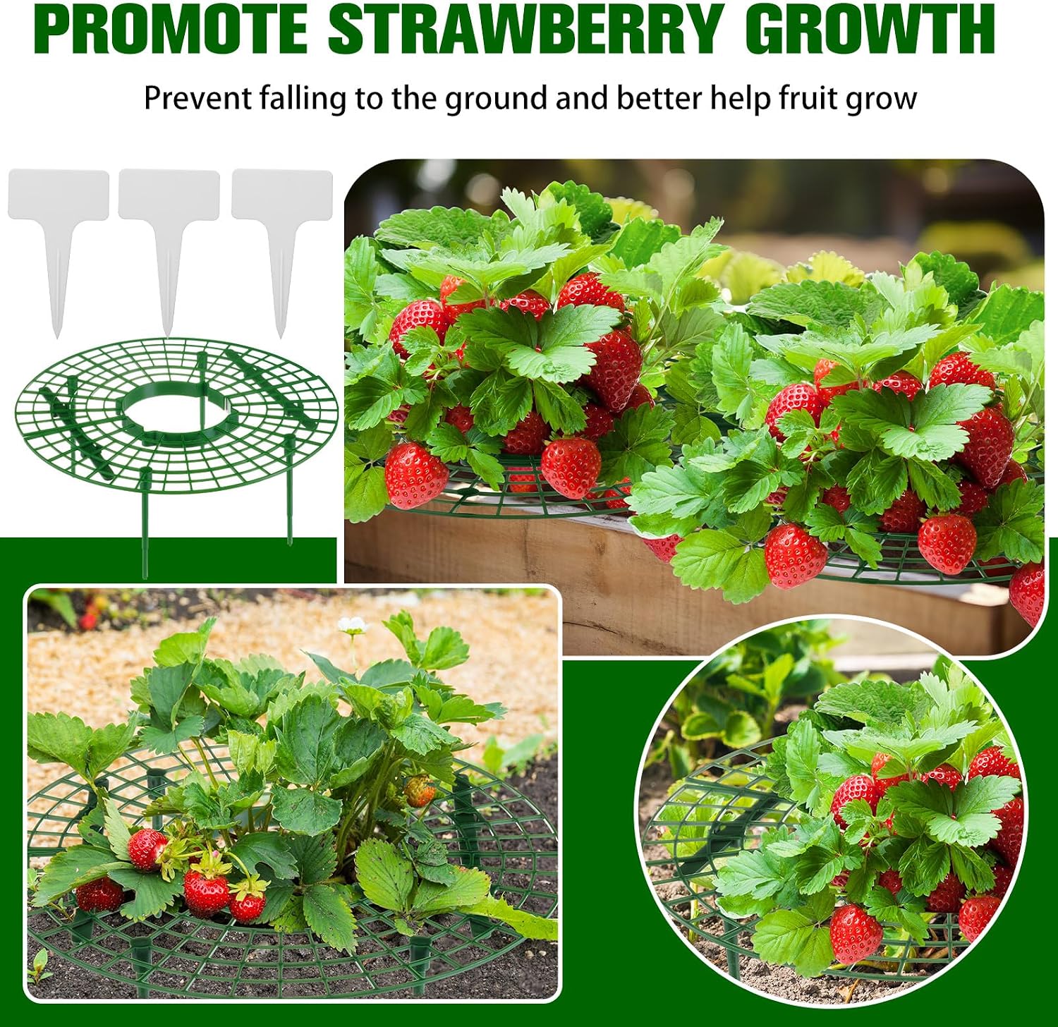 Irenare 12 Pack Strawberry Plant Support with Plant Labels Large Size Strawberry Growing Racks Growing Frame Stand