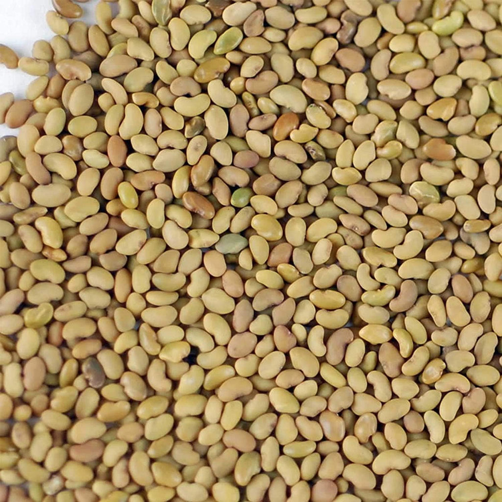 Handy Pantry Certified Organic Alfalfa Sprouting Seed 2.5 Lbs High Sprout | Germination- Gardening, Growing Salad