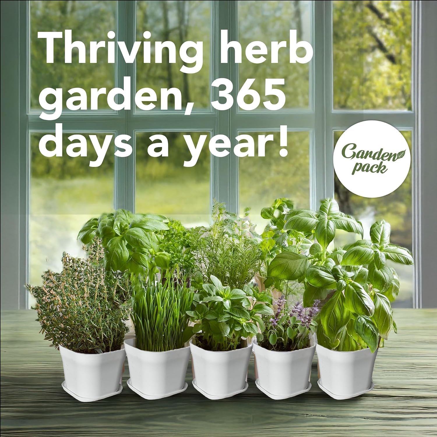 10 Herb Indoor Window Herb Garden - Includes Pots, Trays, and Compressed Soil for Easy Indoor Herb Growing - Perfect