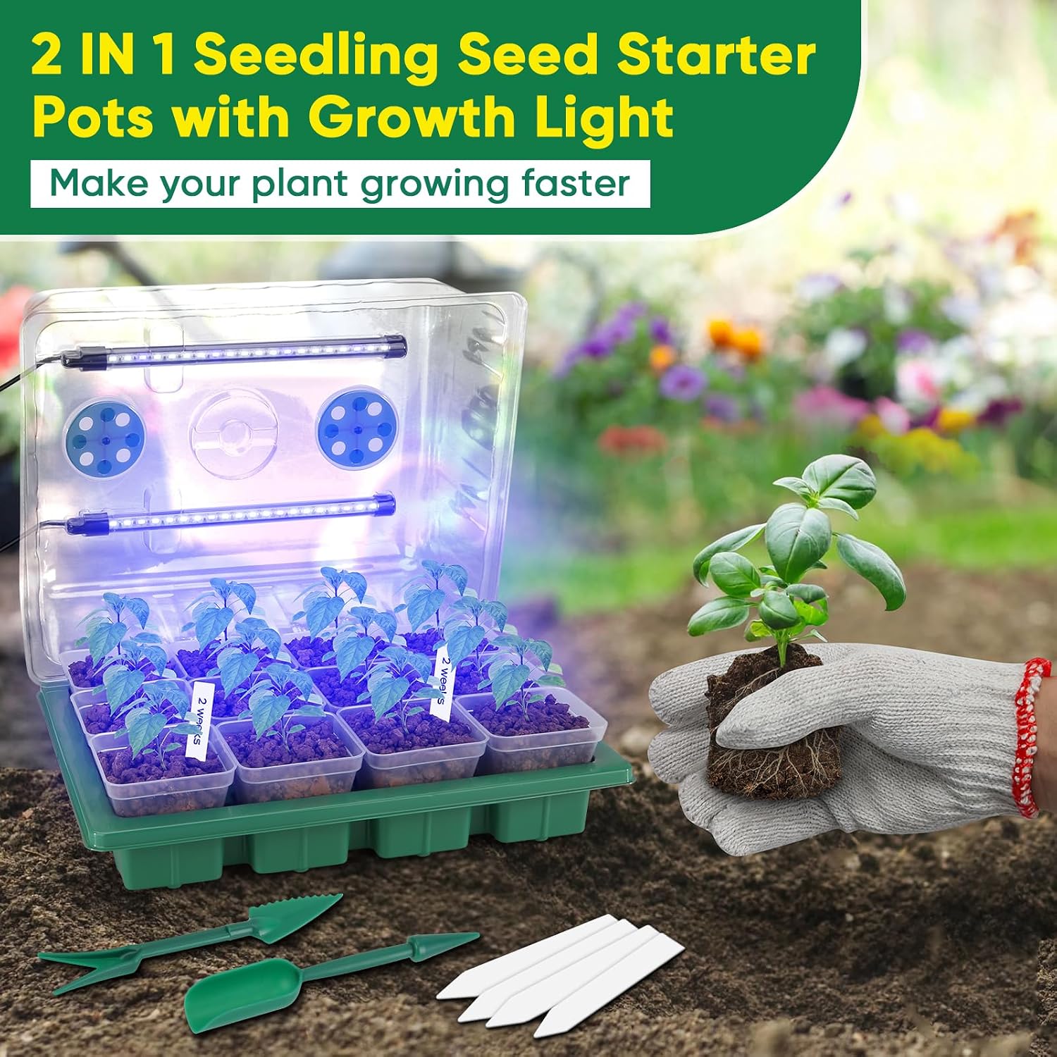 Seed Starter Tray with Grow Light, 24 Pack Large Clear Nursery Pots | 2.9" Deep Seedling Trays, Reusable Plant Starter