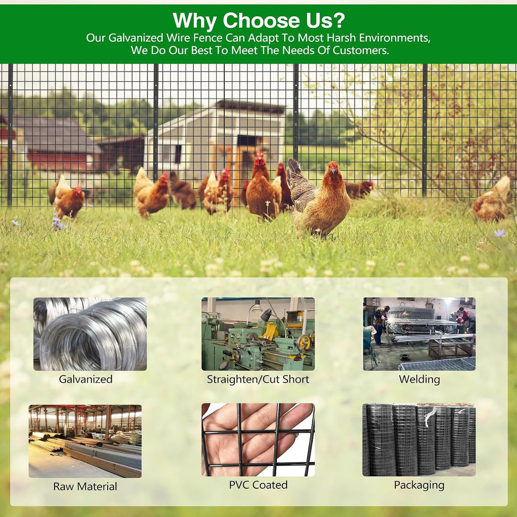 GILPWA Wire Fence, 36 in(H) X 50 ft(L) PVC Coated Welded Wire Fencing 2" X 2" 16GA Garden Border Vinyl Metal Chicken