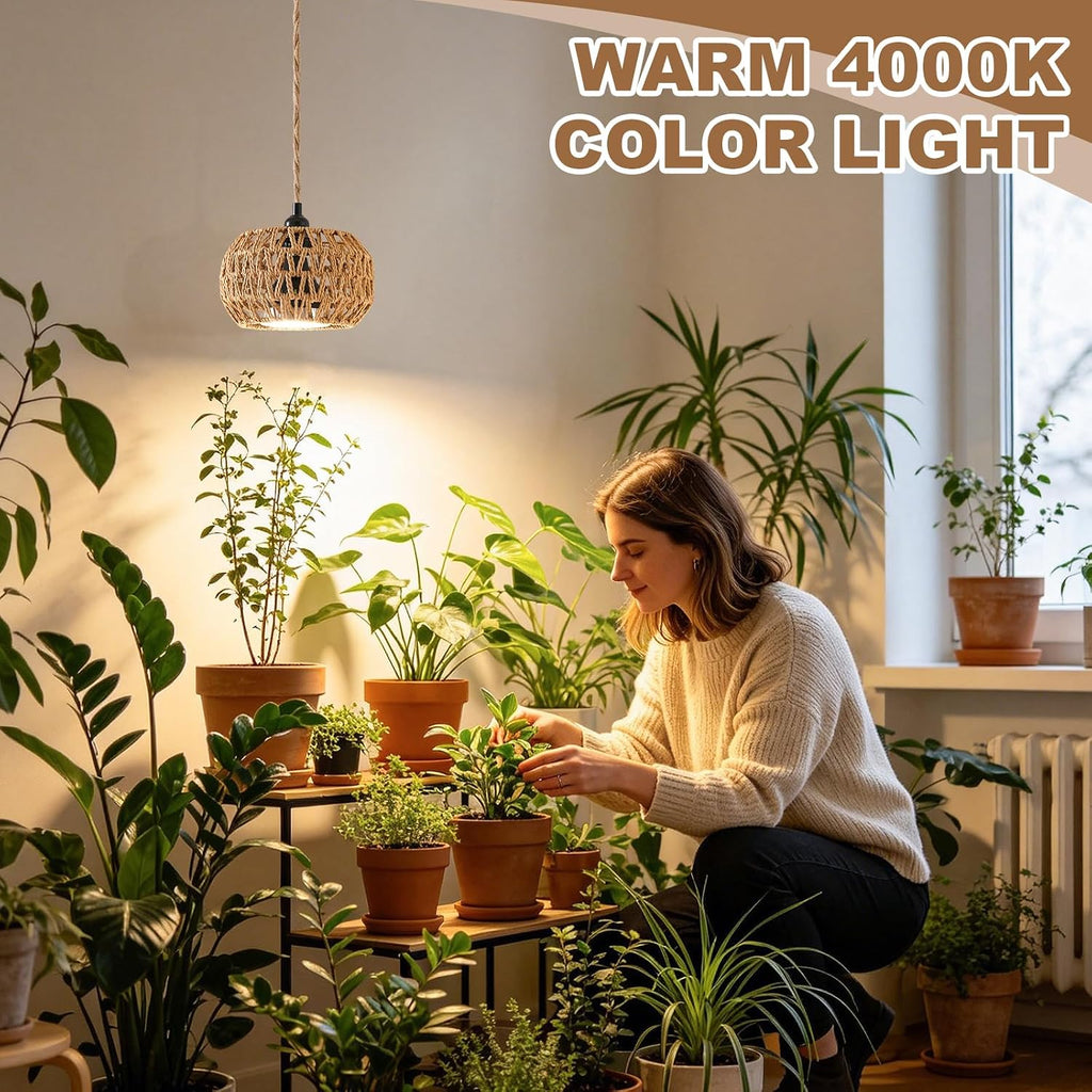 Grow Lights for Indoor Plants, Boho Plants Light, with 24H Timer and 15FT Power Cord, 30W Pendant Plant Lights for