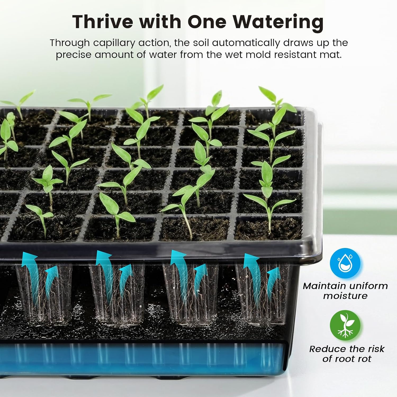 BAOSHISHAN Seed Starter Tray with Grow Light - 120 Cells Self-Watering | 24/7 LED Grow Light, 4'' Humidity Dome, Ideal