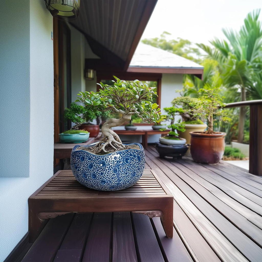 10 Inch Plant Pot - Ceramic Pots for Plants Indoor Outdoor, Round Bonsai Pots with Drainage Hole, Decorative Flower
