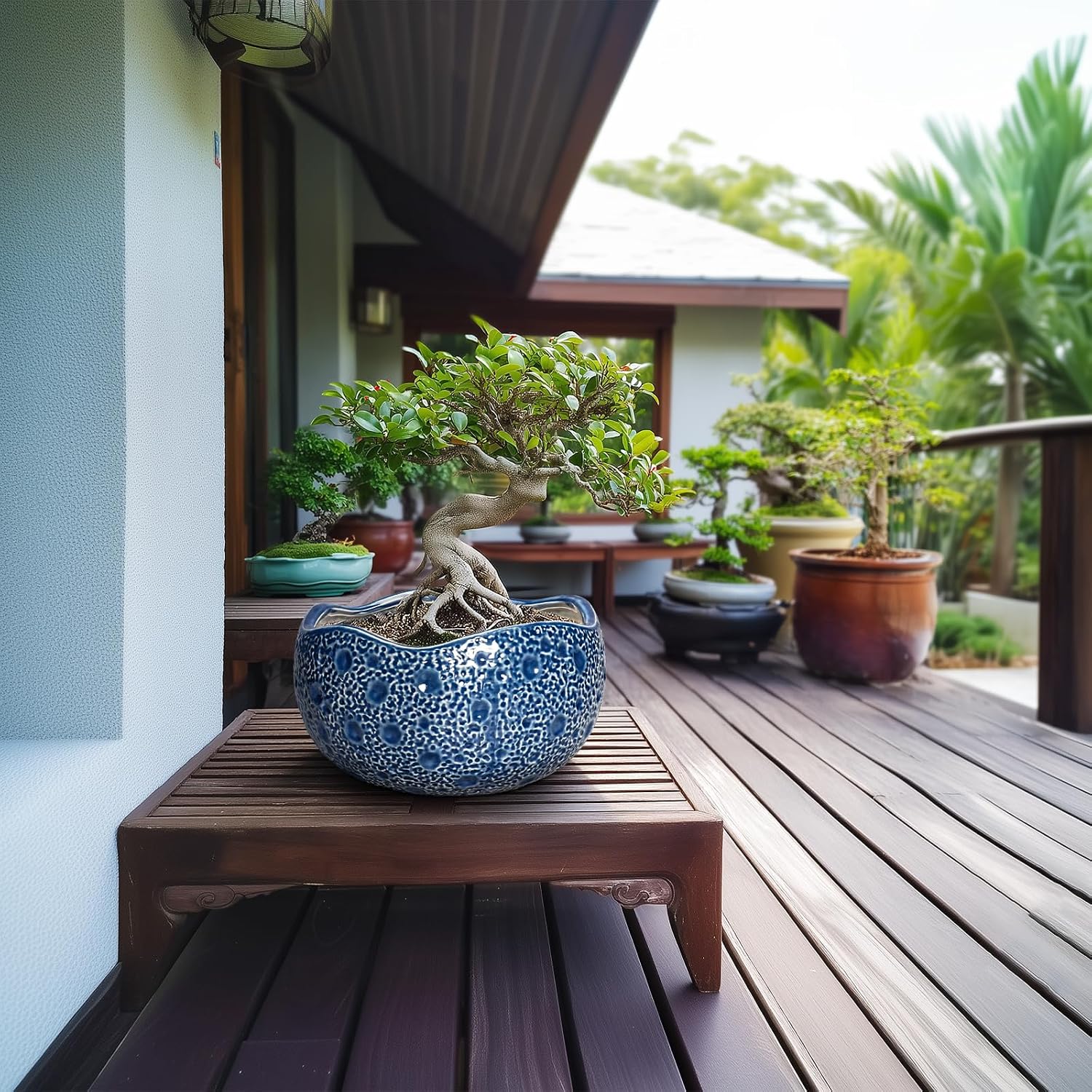 10 Inch Plant Pot - Ceramic Pots for Plants Indoor Outdoor, Round Bonsai Pots with Drainage Hole, Decorative Flower