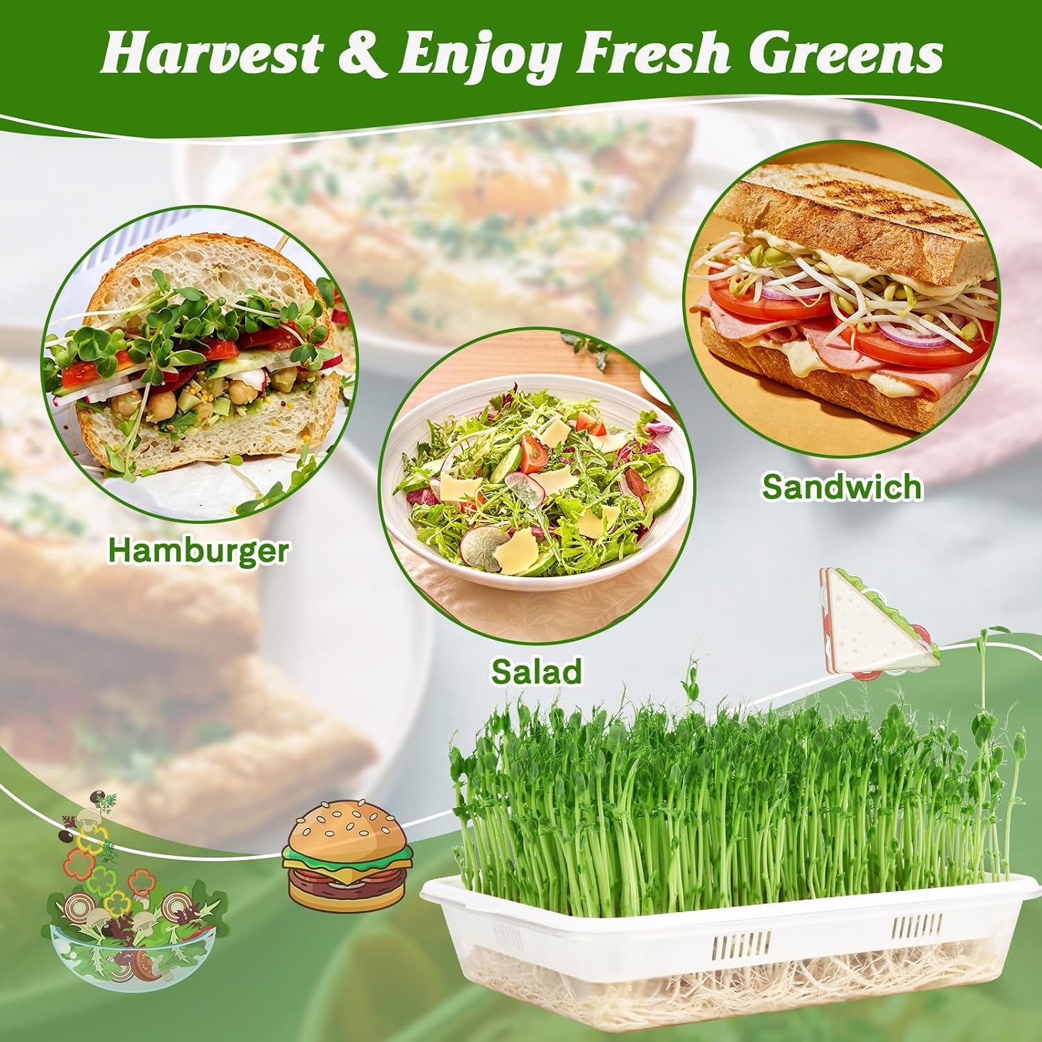 3 Pack Microgreens Growing Trays with Drain Holes, Acrylic Germination Trays with Silicone Mats and Spray Bottle, BPA