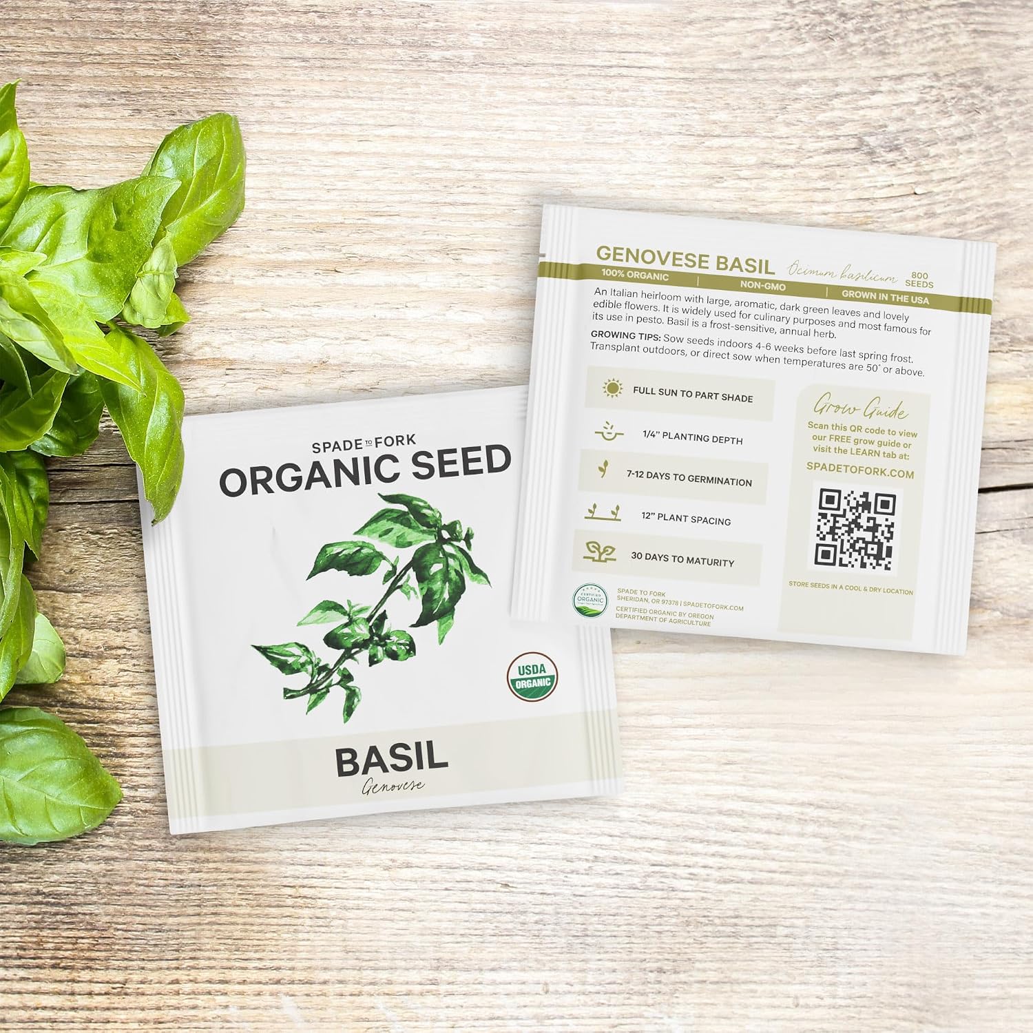 15 Certified Organic Herb Seeds Variety Pack (4X More) 10,000+ Non GMO Seeds for Planting Indoor Herb Garden or Outdoor