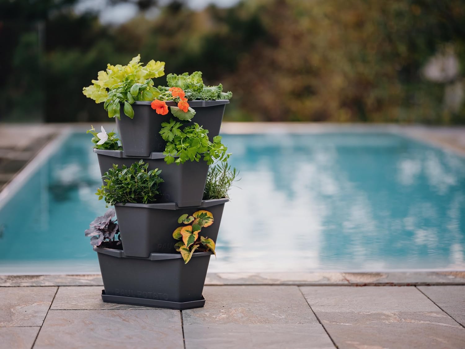 BUZZY Seeds Starter Stackable Vertical Planter – 4-Level Raised Garden Tower for Potatoes, Strawberries, Vegetables &