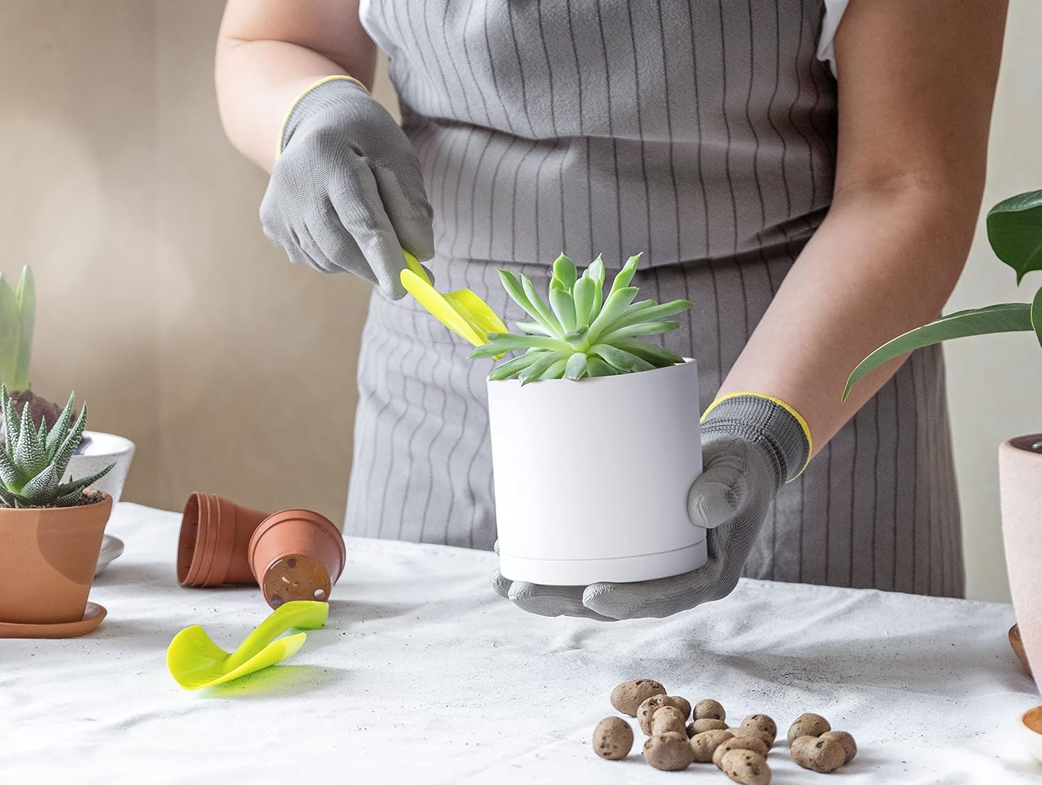 D'vine Dev 4-Pack White Plastic Planters with Saucers, 4 in, 74-Z-E-2 | Lightweight Durable Build, Matte Finish
