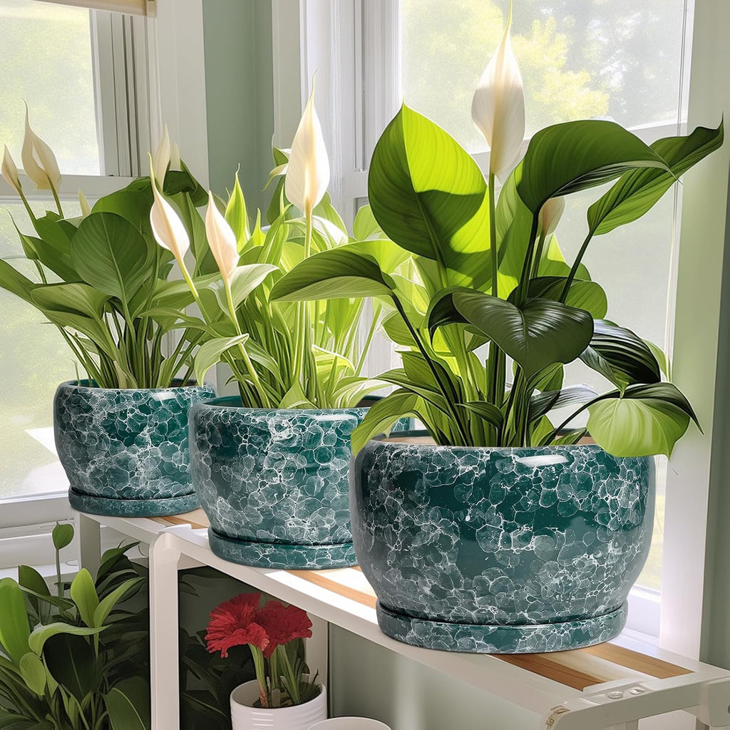 SQOWL 8 Inch Plant Pot - Ceramic Planter for Indoor Plants, Decorative Flower Pot with Drainage Hole and Saucer, Round