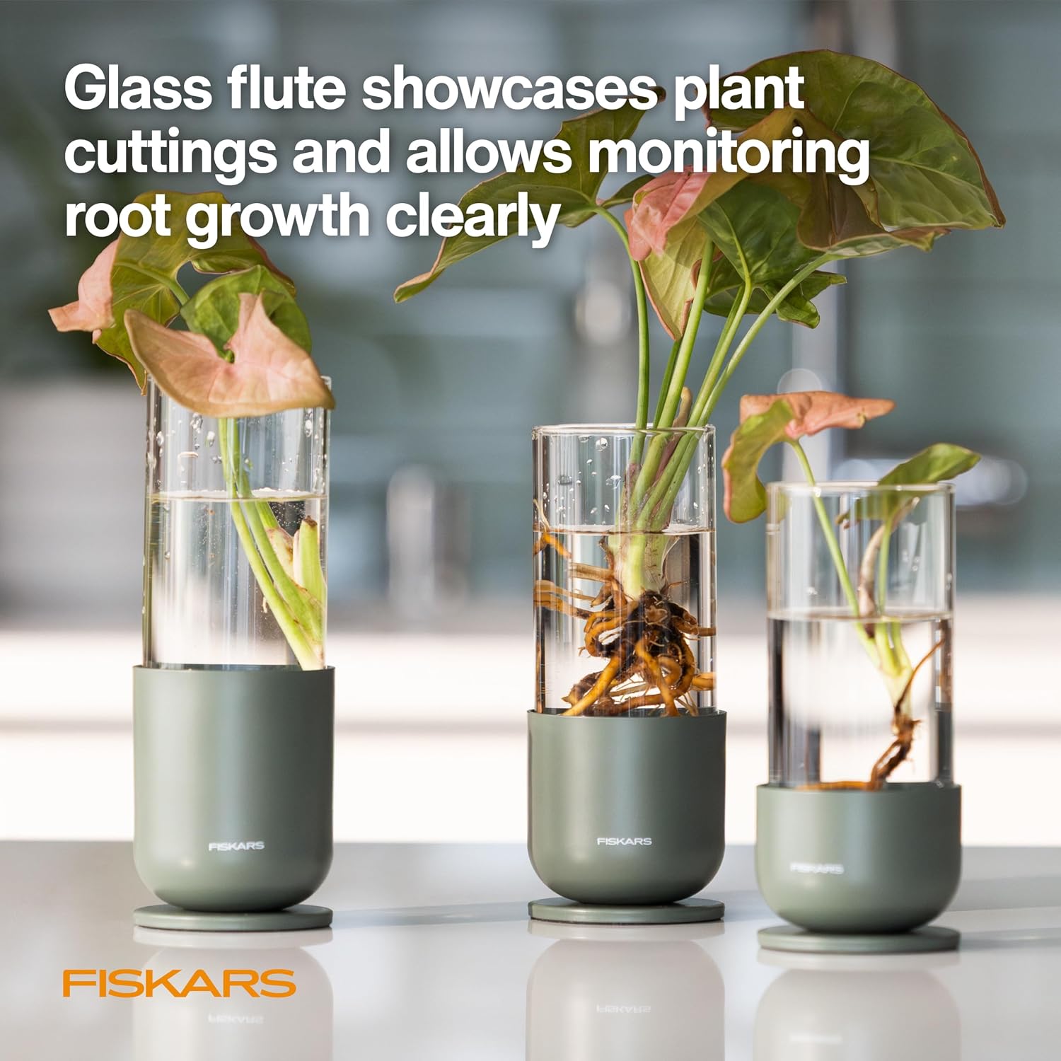 Fiskars Plant Propagation Set, Glass Vase Hydroponic Growing System, 3-Pack | Metal Stands for Root Cuttings