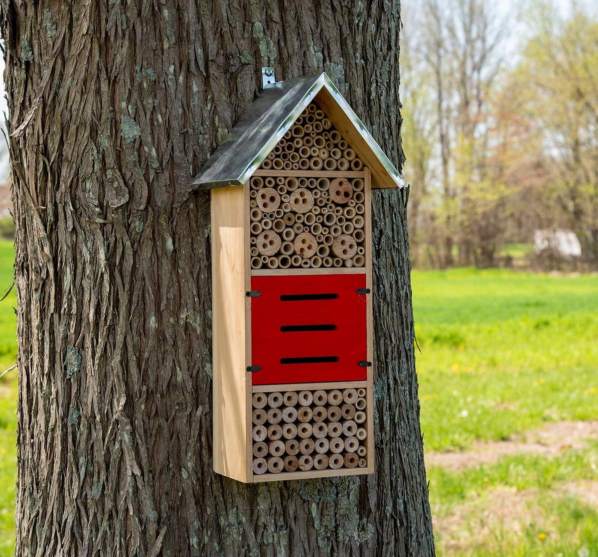 Tall Insect Hotel - Great for housing Mason Bees, Leaf-Cutter Bees and Lacewings, Extra Large Bee House 21.75" X 7.25"
