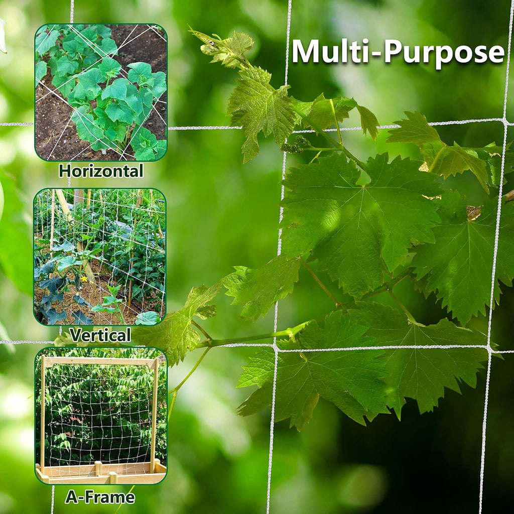 Toolazy Trellis Netting 5 x 350 ft - Heavy Duty Nylon Garden Netting with 6 Inch Mesh, Soft Plant Support Net for