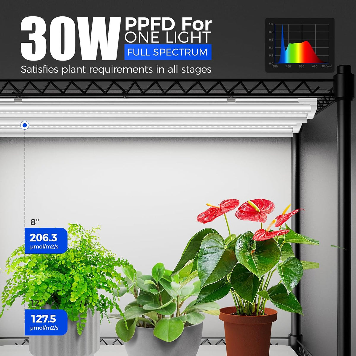 Barrina CX5Z Indoor Greenhouse with Grow Light, 180W, 4-Tier 35.4x13.8x59IN | Full Spectrum T8 Plant Lights, Portable