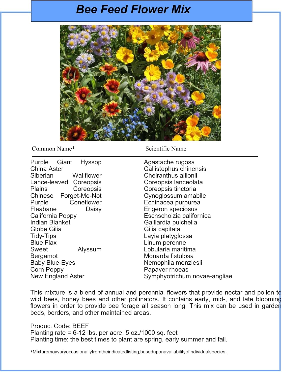 Bulk Wildflower Seed Mix – Honey Bee Wildflower Seed Mix 1 Pound Tub by GevaGrow | Bulk 300,000+ Seed Tub | 19 Variety