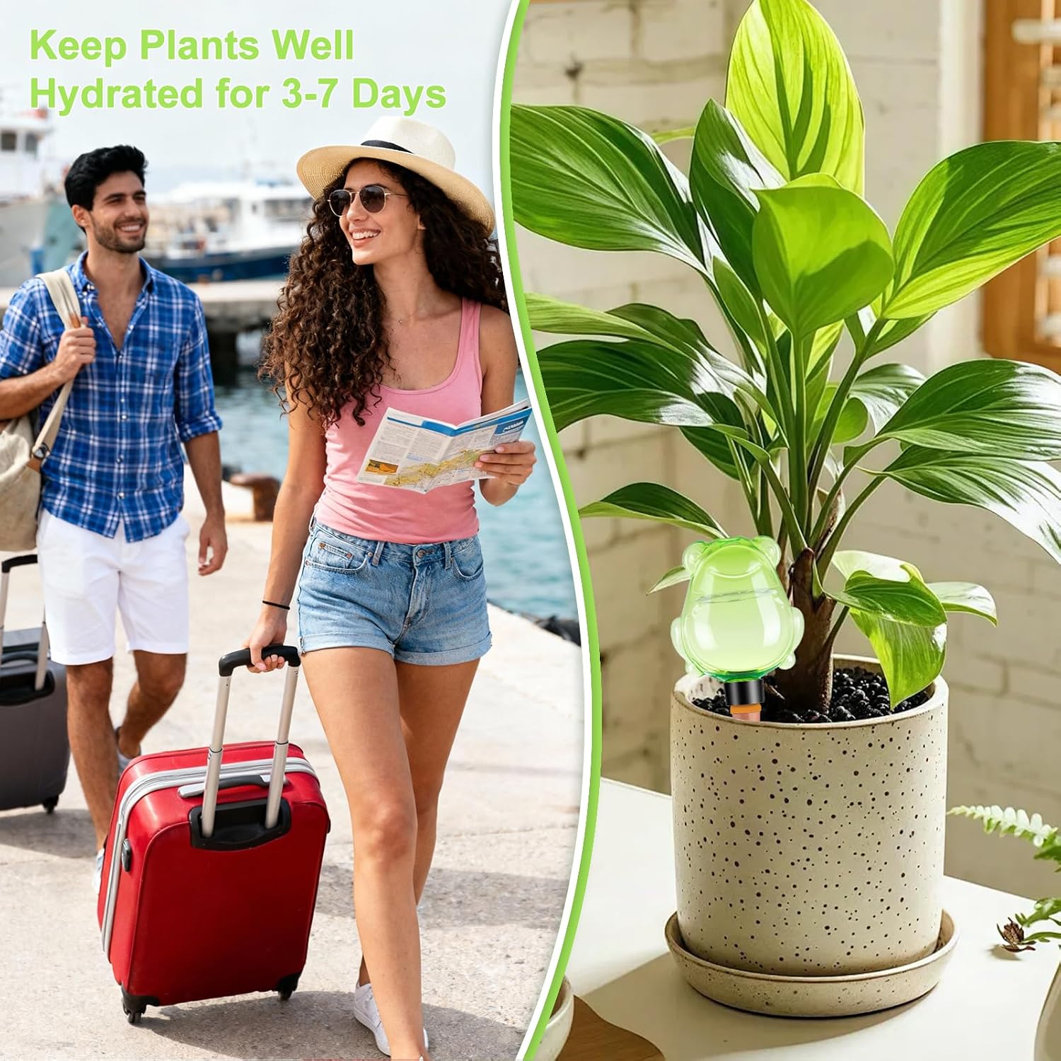 3Pcs Frog Plant Self Watering Globes for Indoor and Outdoor Plastic Water Bulbs Top Fill Plant Watering Globes Slow