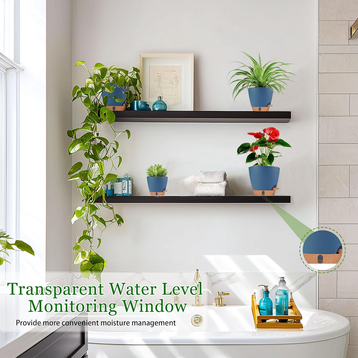 Self Watering Pots for Inoor Ourdoor Plants 8/7/6.5/6/5" Plastic Planters | Drainage Holes & Water Level Indicator