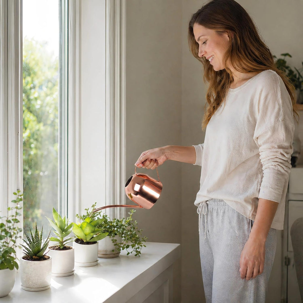 IMEEA 30oz Indoor Plant Watering Can Stainless Steel Long Spout, Rose Gold