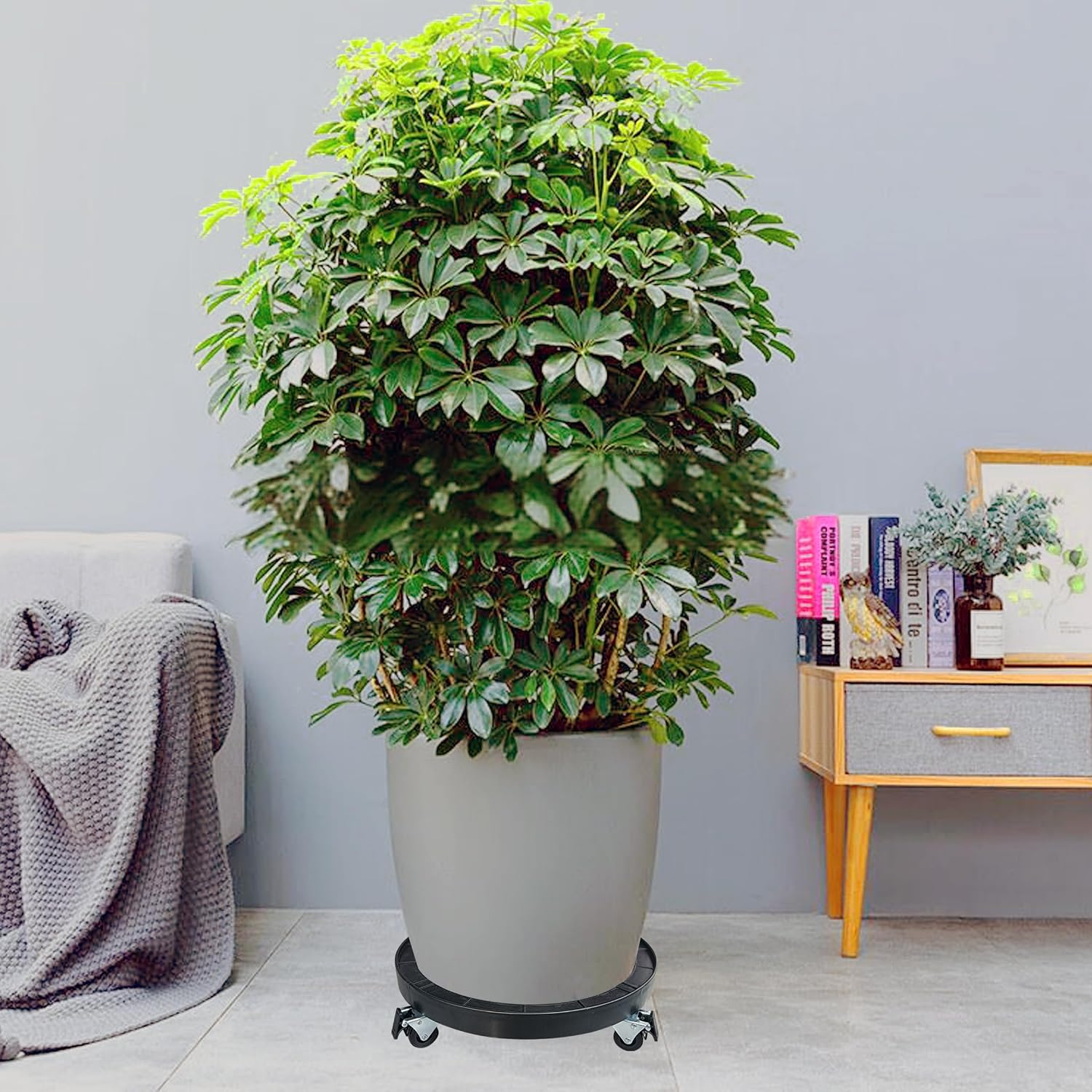 20 Inch Heavy Duty Plant Caddy With 360°Lockable Wheels,600 Lbs Capacity,Outdoor Indoor Rolling Plant Stand With