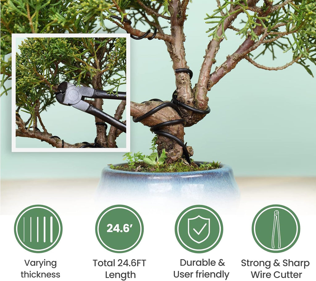SOLIGT 12-Piece Bonsai Tools Set With Wood Box, Gift For Men Women | Heavy Duty Pruning Shear, Butterfly Shear, Concave