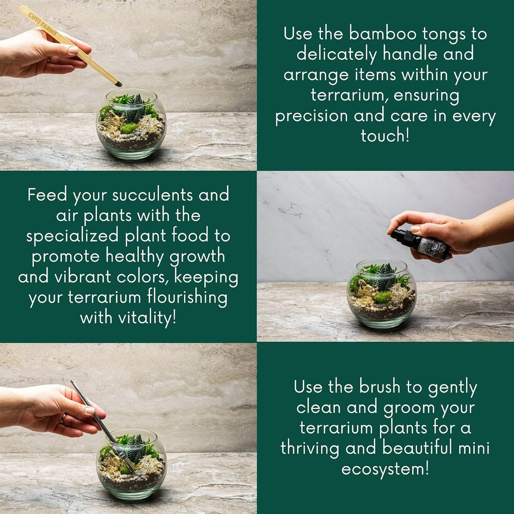 Terrarium Starter Kit | Moss, Vermiculite, Soil, Pebbles, Plant Food, Finishing Tools, Build and Care Guide | DIY